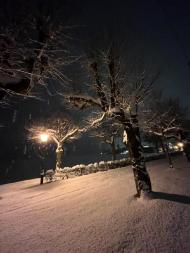 41f9f76f-d05e-4a33-8e96-f6fb505f69be