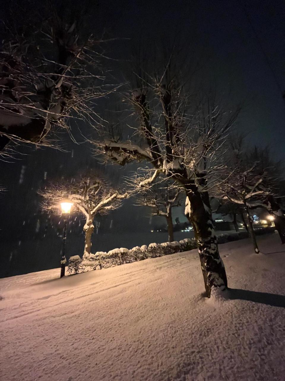 41f9f76f-d05e-4a33-8e96-f6fb505f69be