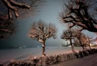 e96a8201-d1fa-40b2-9718-b3ef14b24ff9